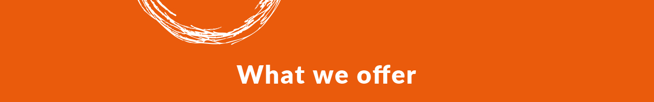 What we offer